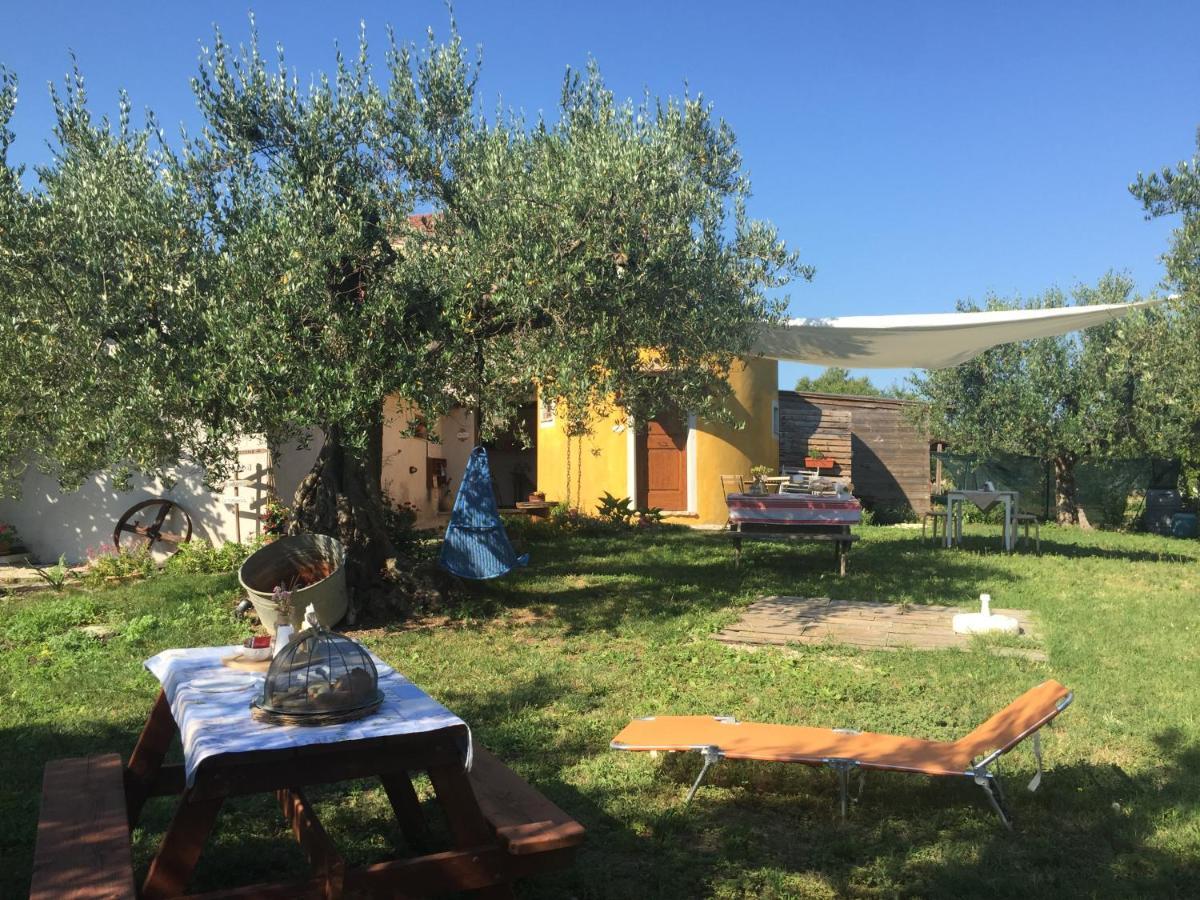 C'Era Una Volta Podere San Giovanni Fossacesia Kültér fotó