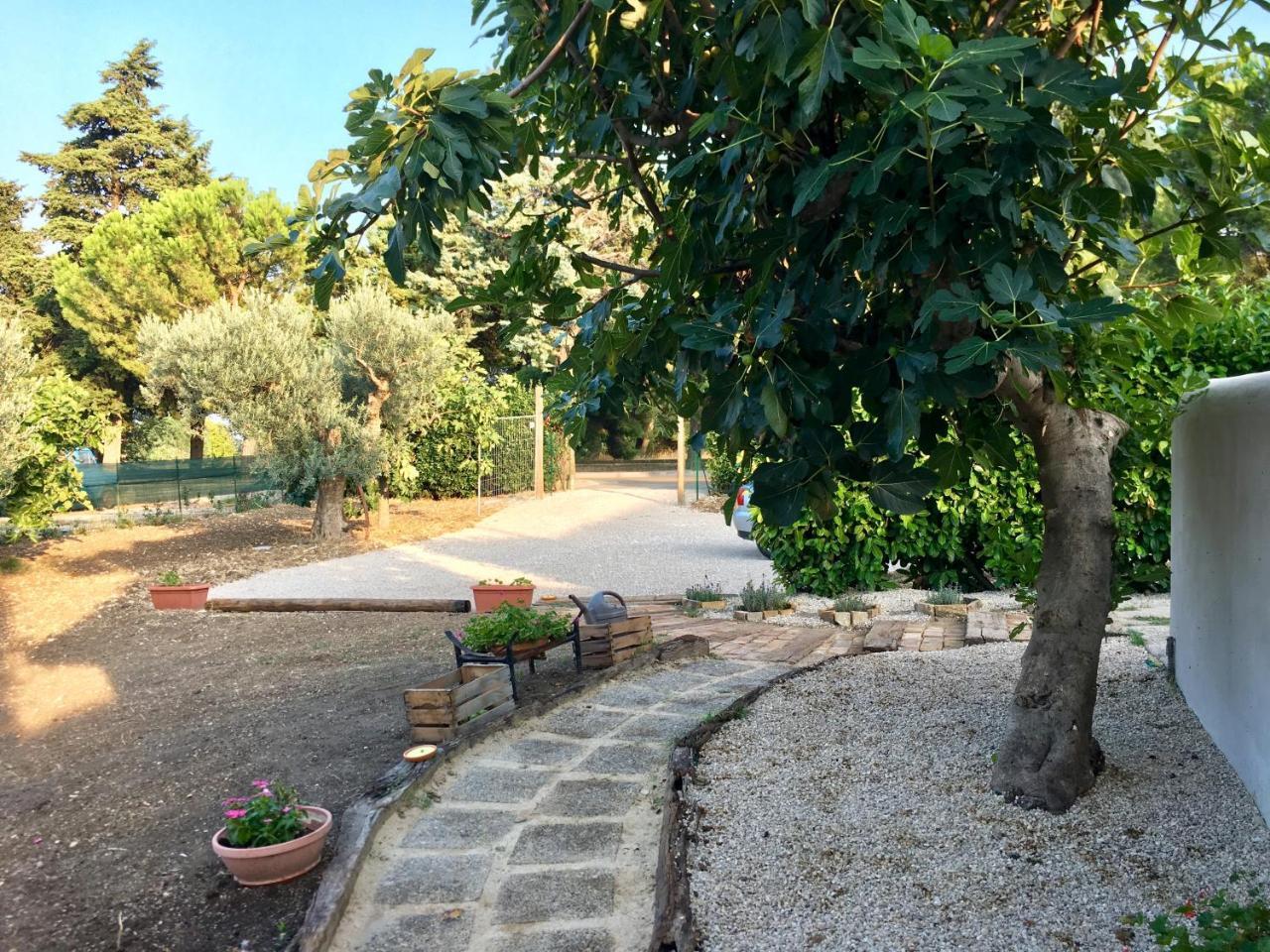 C'Era Una Volta Podere San Giovanni Fossacesia Kültér fotó