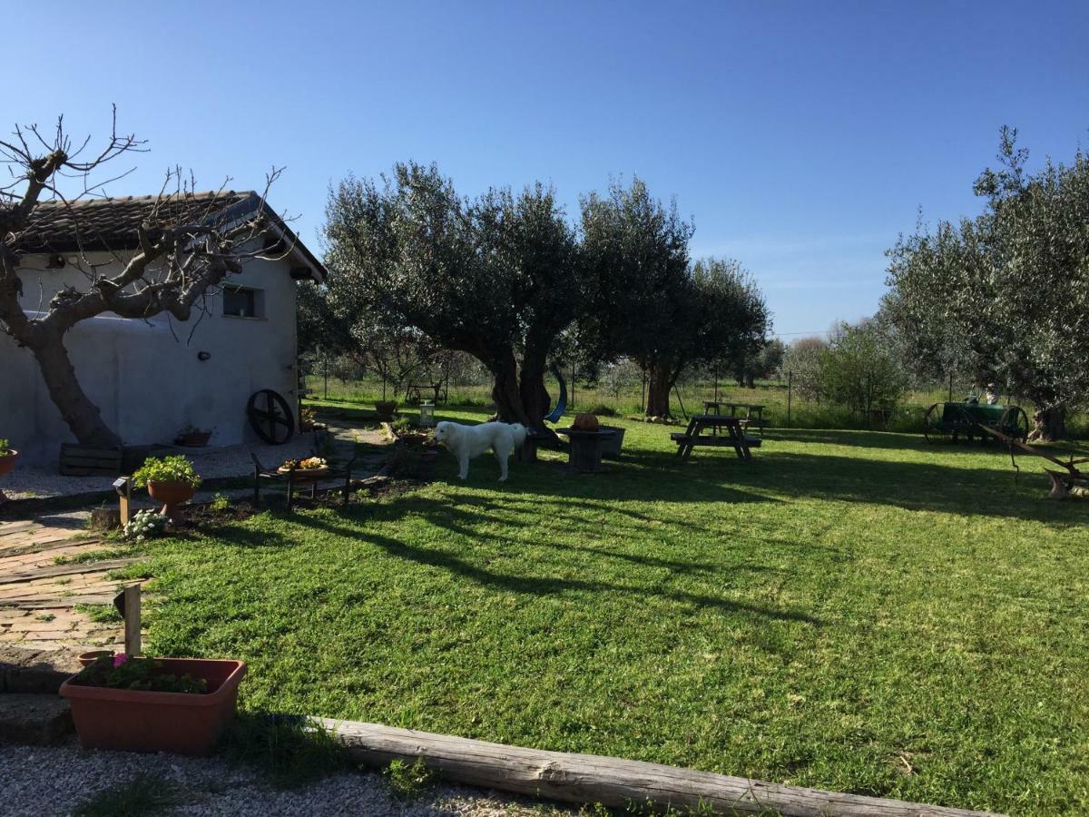 C'Era Una Volta Podere San Giovanni Fossacesia Kültér fotó
